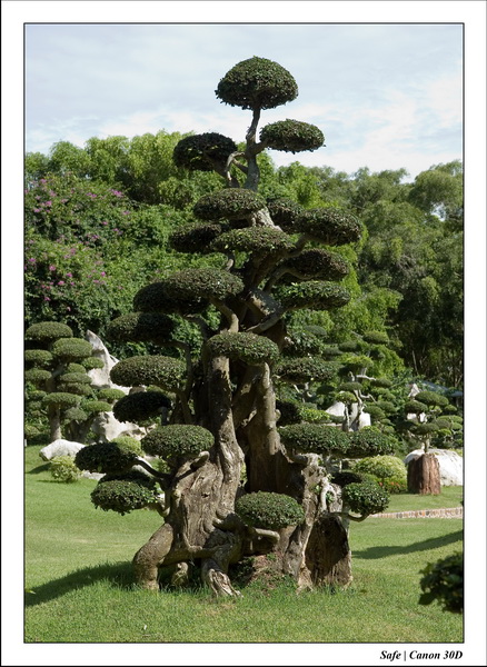 2006 - 08 - Pattaya - Crocodile farm parc 06